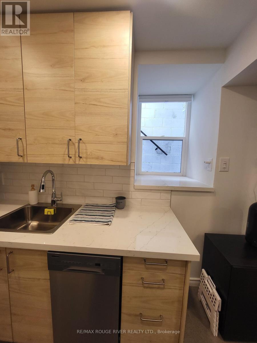 Lower - 6 Lippincott Street, Toronto, Ontario  M5T 2R5 - Photo 17 - C13758370