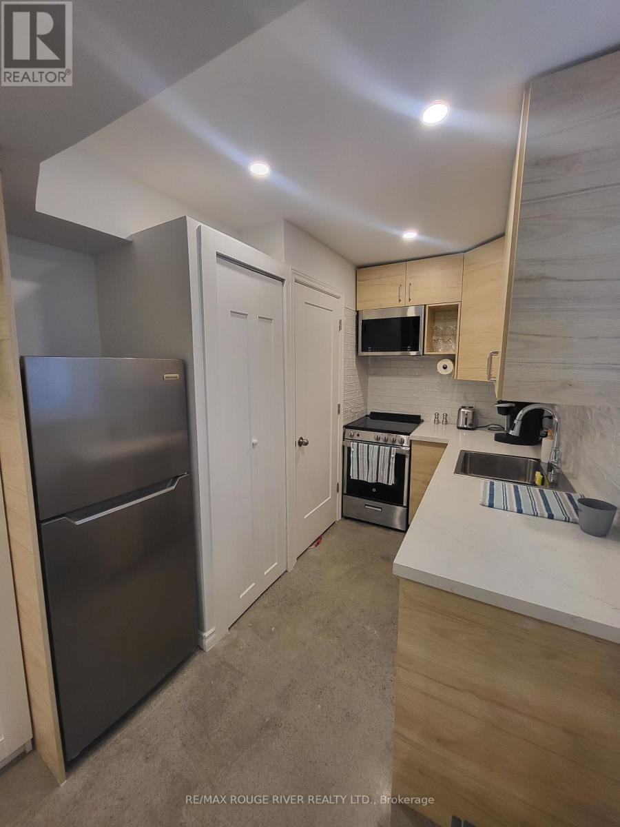 Lower - 6 Lippincott Street, Toronto, Ontario  M5T 2R5 - Photo 18 - C13758370