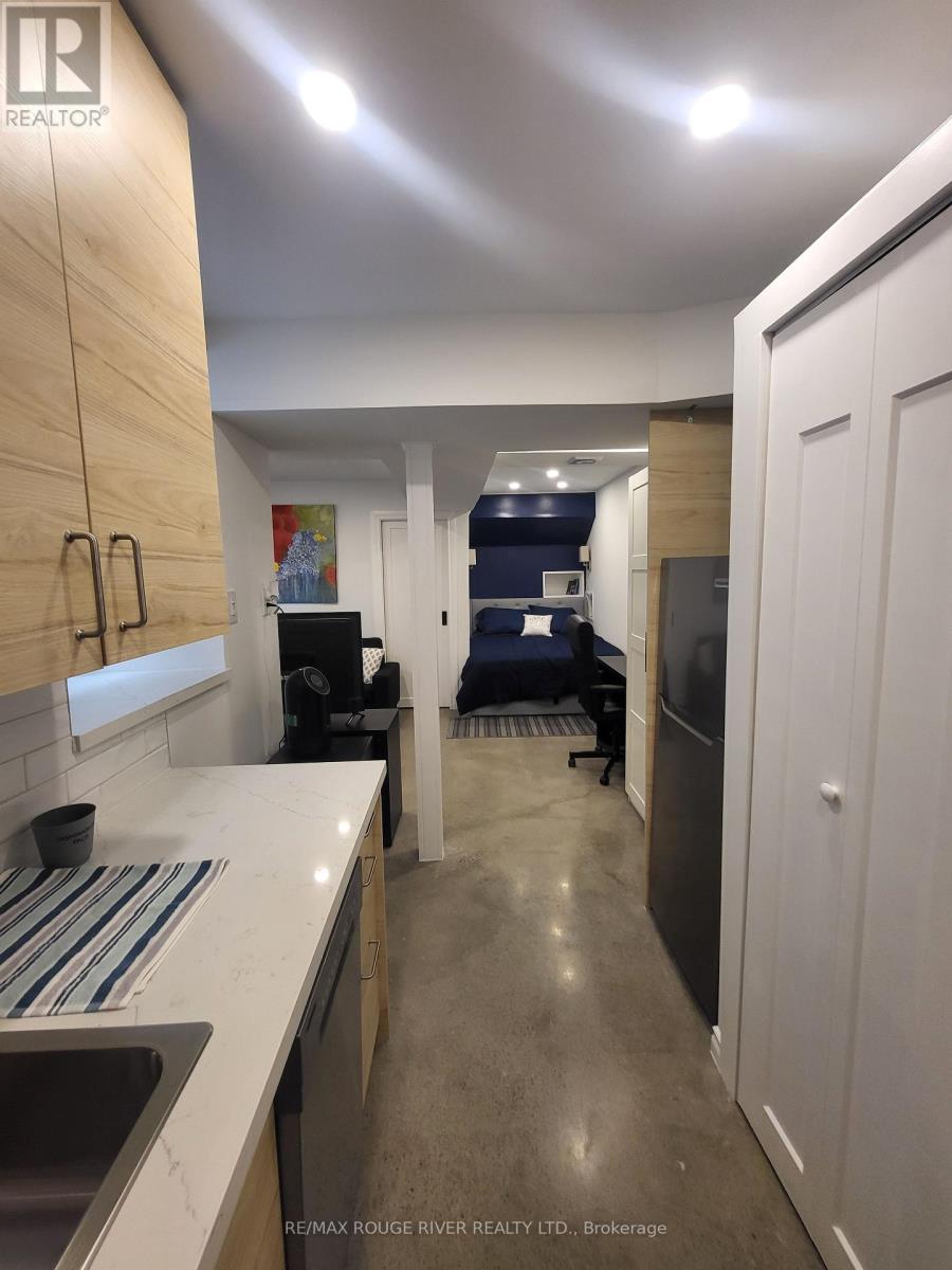Lower - 6 Lippincott Street, Toronto, Ontario  M5T 2R5 - Photo 19 - C13758370