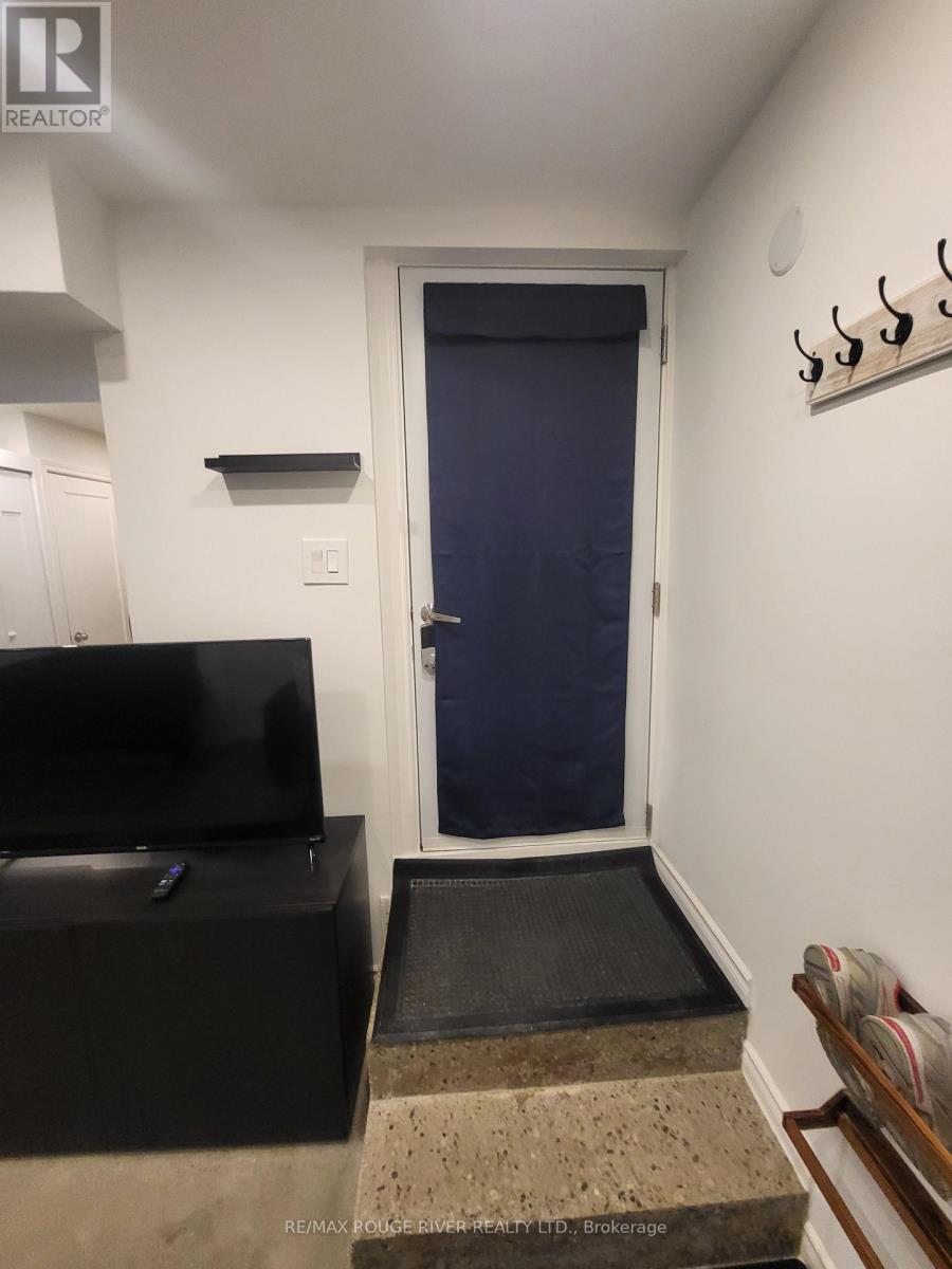 Lower - 6 Lippincott Street, Toronto, Ontario  M5T 2R5 - Photo 2 - C13758370