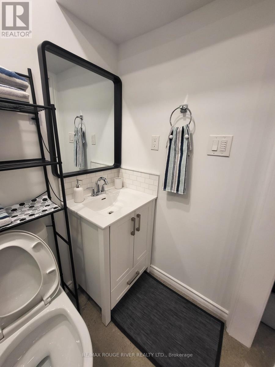 Lower - 6 Lippincott Street, Toronto, Ontario  M5T 2R5 - Photo 20 - C13758370