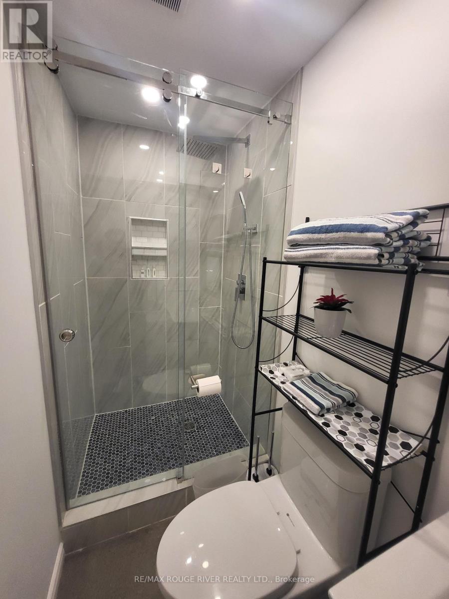 Lower - 6 Lippincott Street, Toronto, Ontario  M5T 2R5 - Photo 21 - C13758370