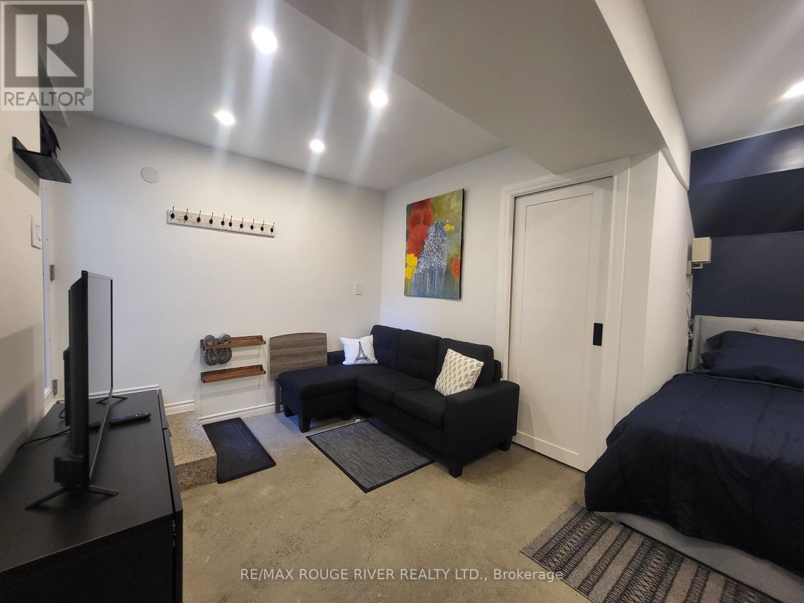 Lower - 6 Lippincott Street, Toronto, Ontario  M5T 2R5 - Photo 3 - C13758370
