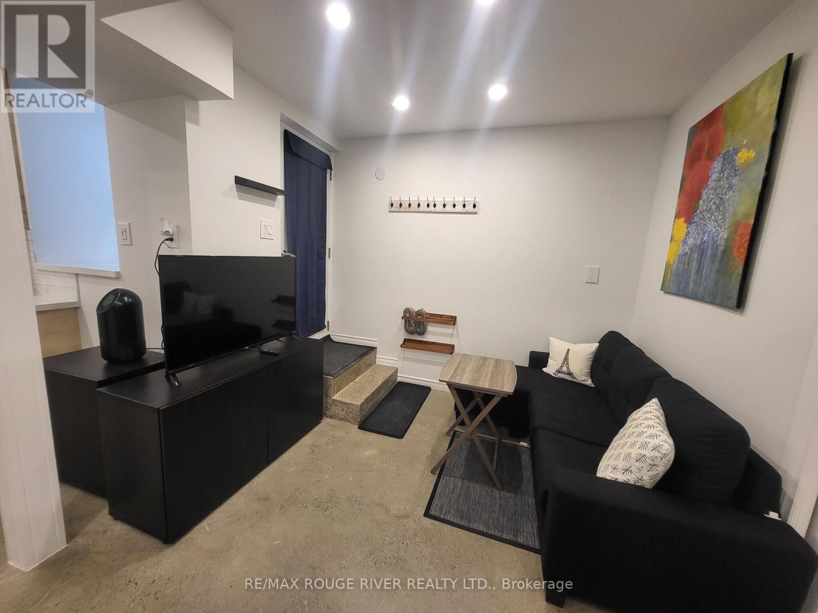 Lower - 6 Lippincott Street, Toronto, Ontario  M5T 2R5 - Photo 5 - C13758370
