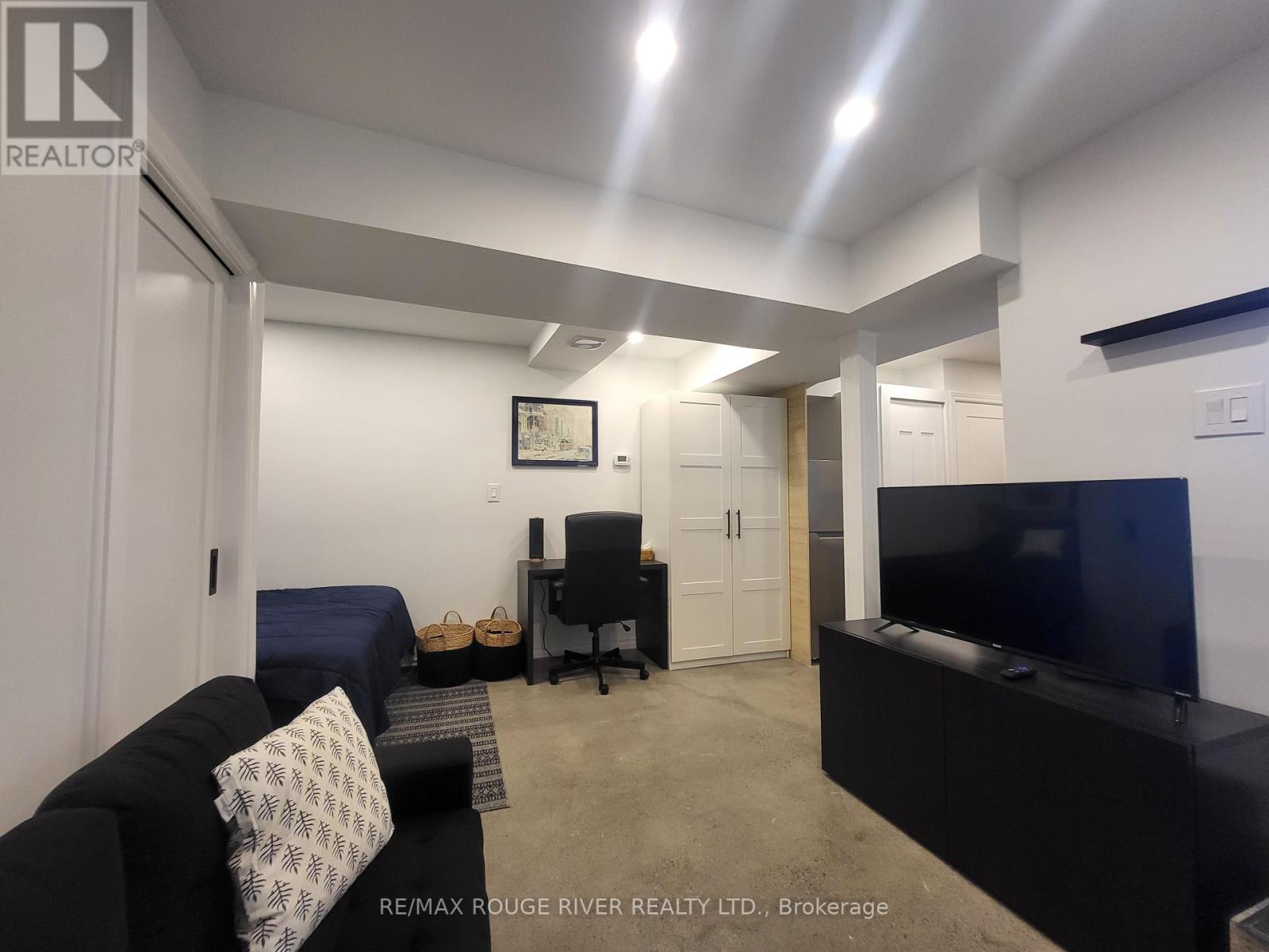 Lower - 6 Lippincott Street, Toronto, Ontario  M5T 2R5 - Photo 7 - C13758370