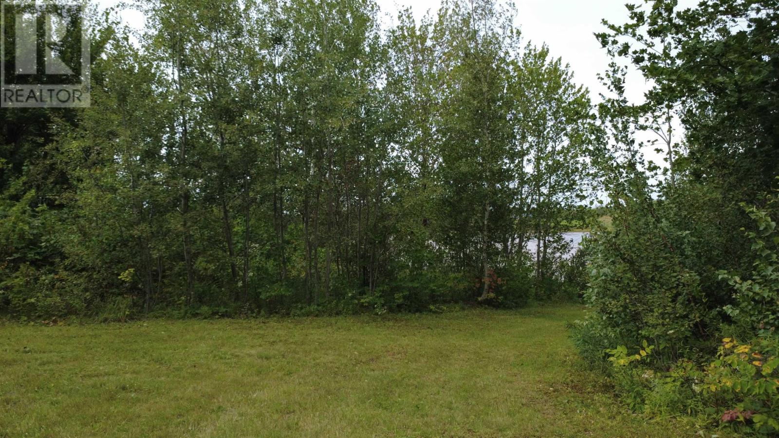 picture 1