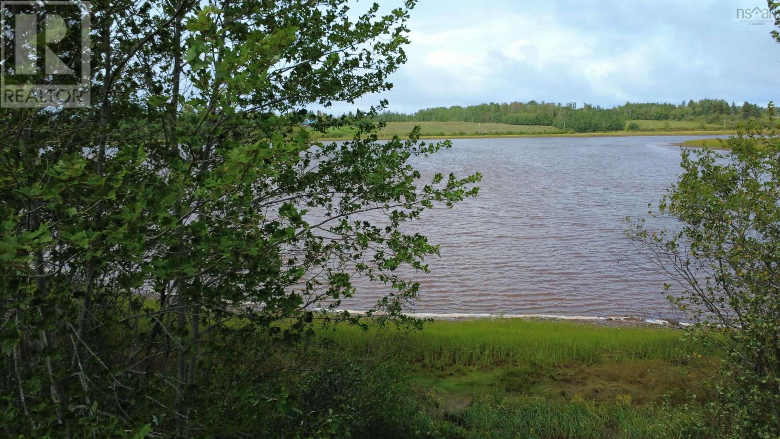 picture 38