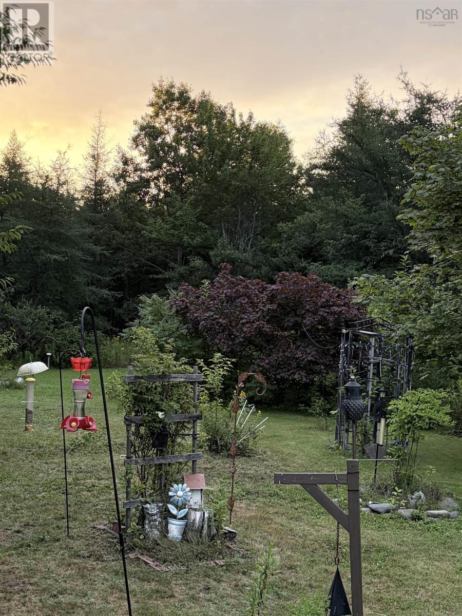 picture 30