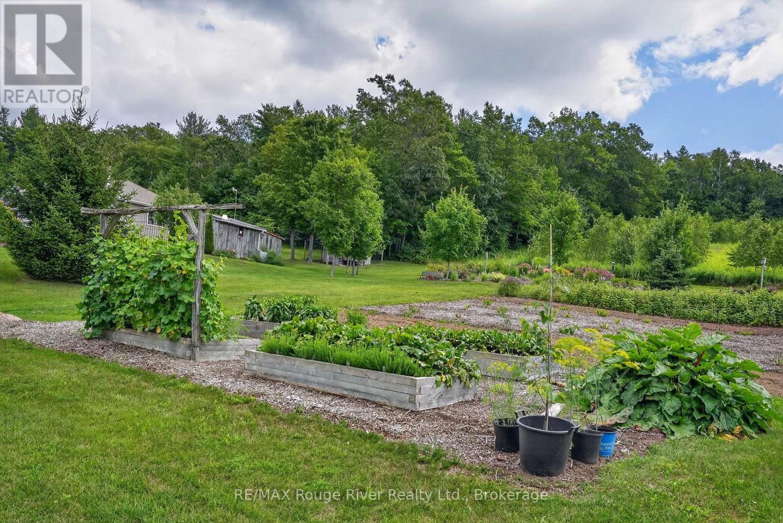 9285 Turk Road, Hamilton Township, Ontario  K0K 1C0 - Photo 41 - X13758804