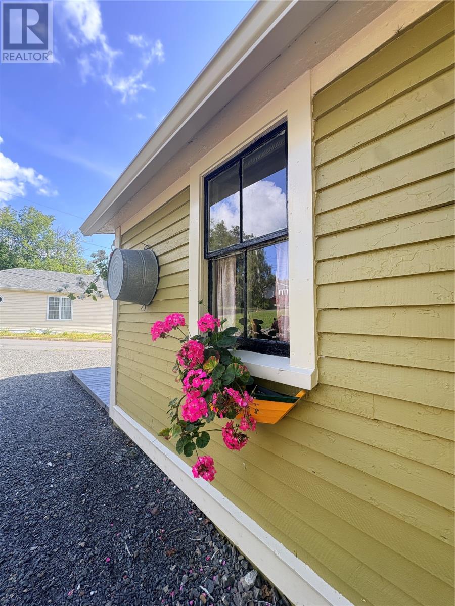1 Albert Street, Lewisporte — photo 37