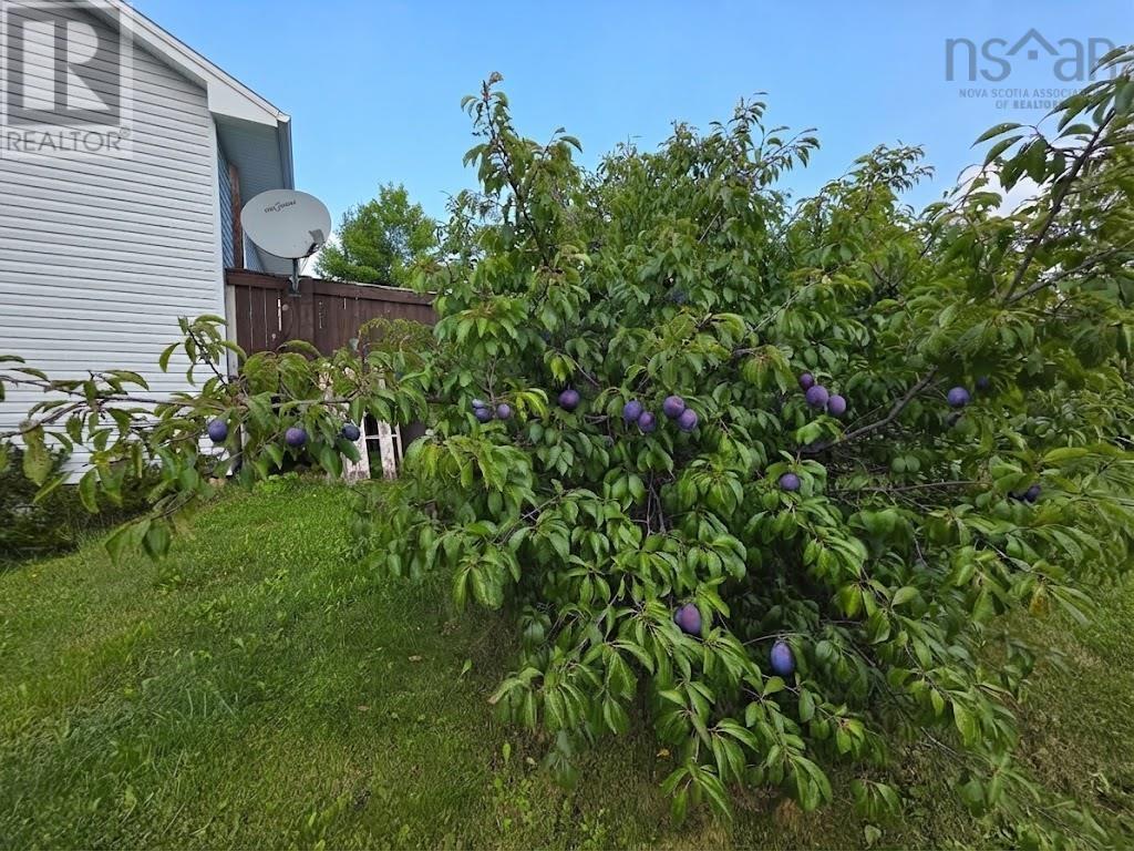 31 Carriage Lane, Enfield, Nova Scotia  B2T 1L4 - Photo 21 - 202622742