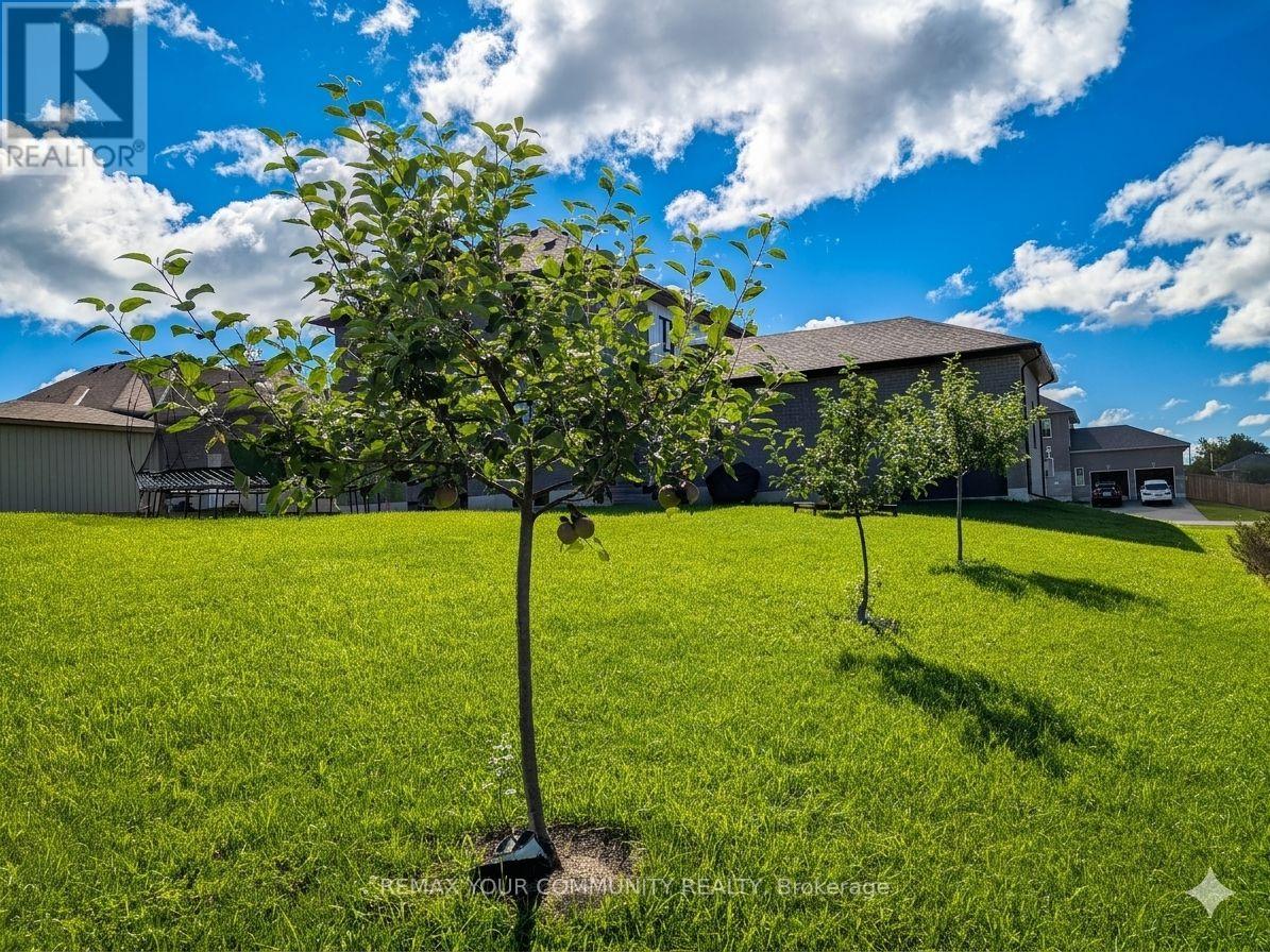 14 Mccrae Crescent, Kawartha Lakes, Ontario  K0M 2T0 - Photo 30 - X13758746