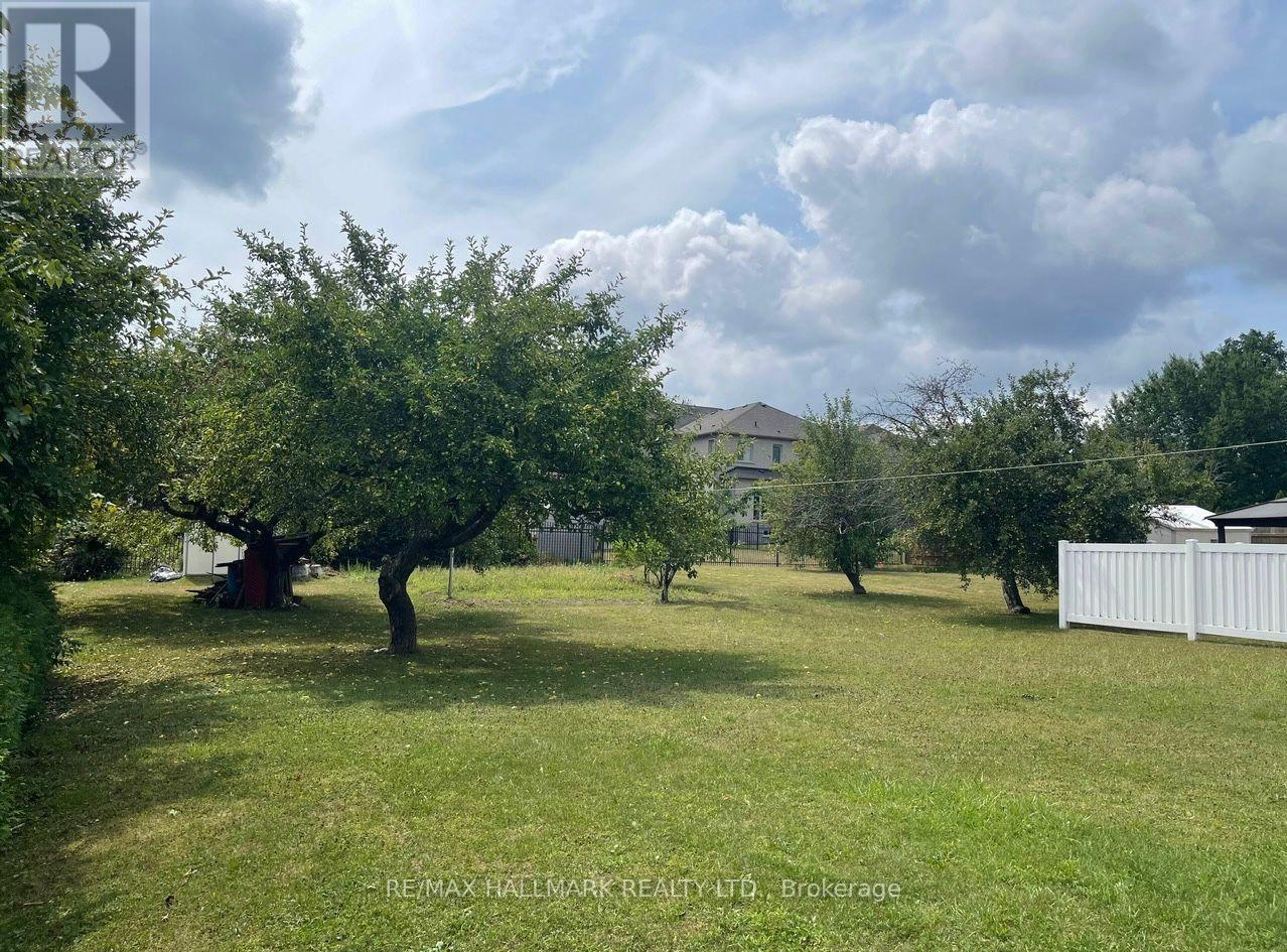 227 Elgin Mills(Main Floor) Road W, Richmond Hill, Ontario  L4C 4M1 - Photo 19 - N13648896