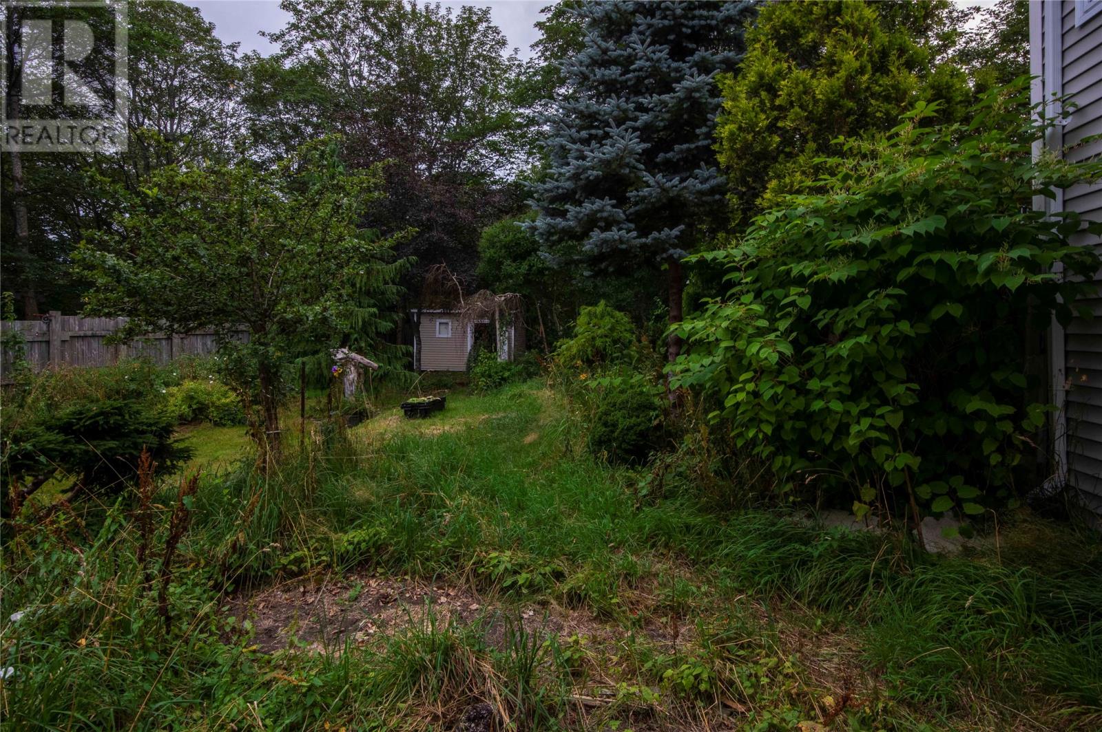 19 Golf Avenue, St. John's — photo 3
