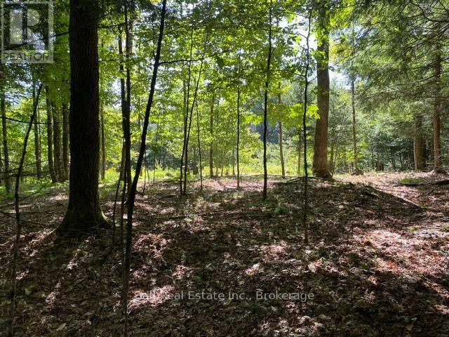 Pt Lt 15 Con 13 Alton Road, Minden Hills, Ontario  K0M 2K0 - Photo 1 - X13759354