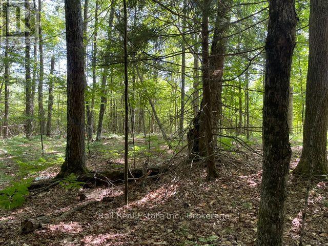 Pt Lt 15 Con 13 Alton Road, Minden Hills, Ontario  K0M 2K0 - Photo 2 - X13759354