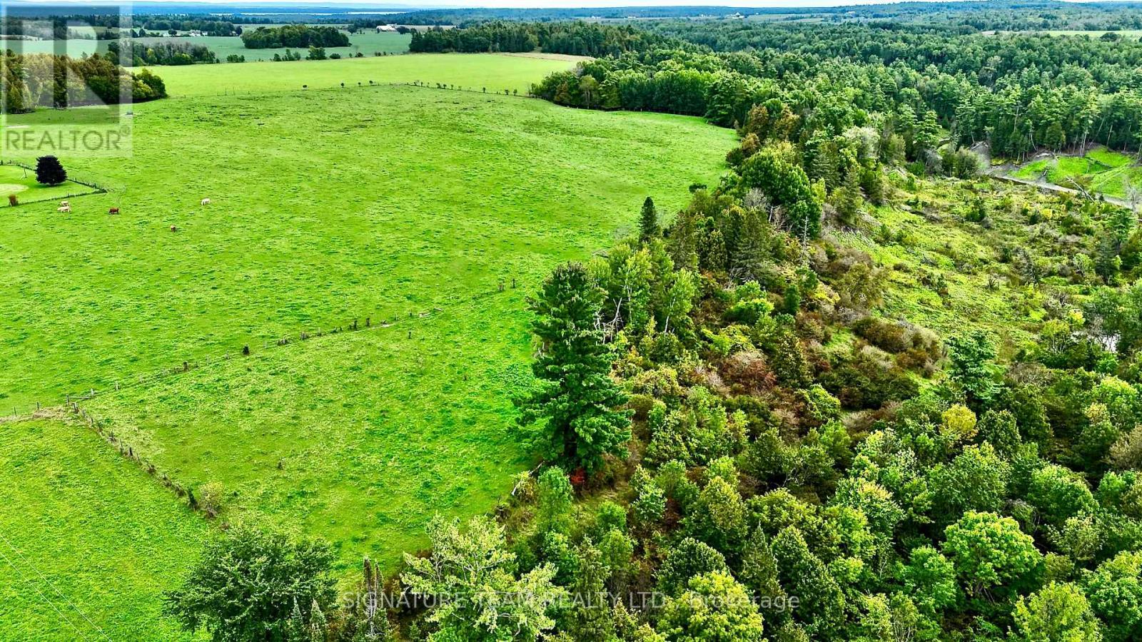 413 Ferguson Road, Horton, Ontario  K7V 3Z8 - Photo 18 - X13759340