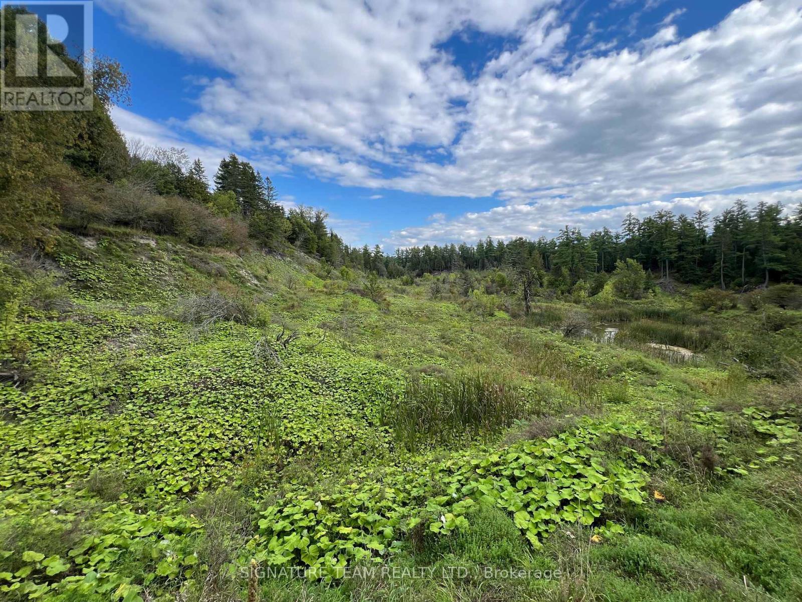 413 Ferguson Road, Horton, Ontario  K7V 3Z8 - Photo 20 - X13759340