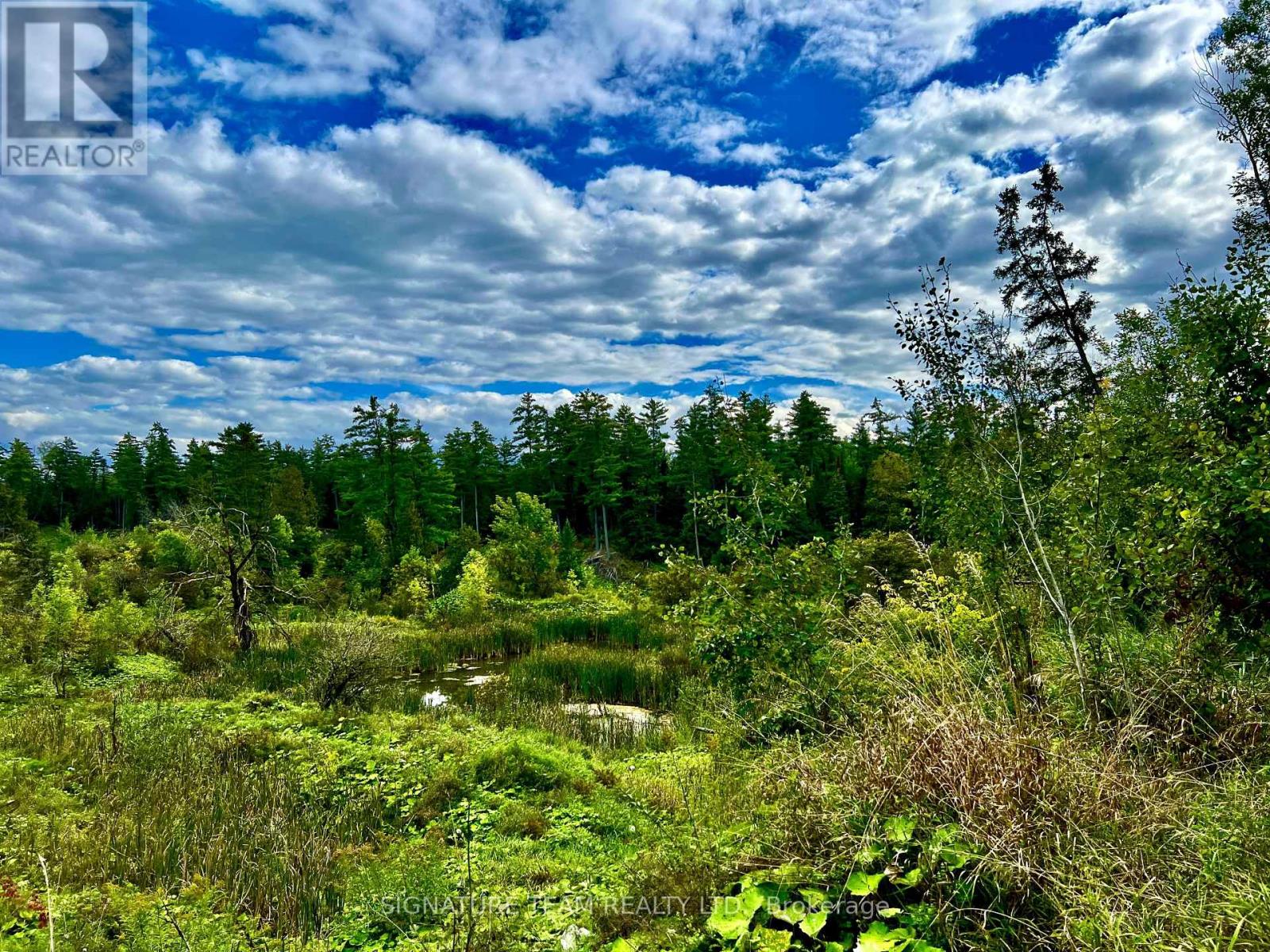413 Ferguson Road, Horton, Ontario  K7V 3Z8 - Photo 22 - X13759340