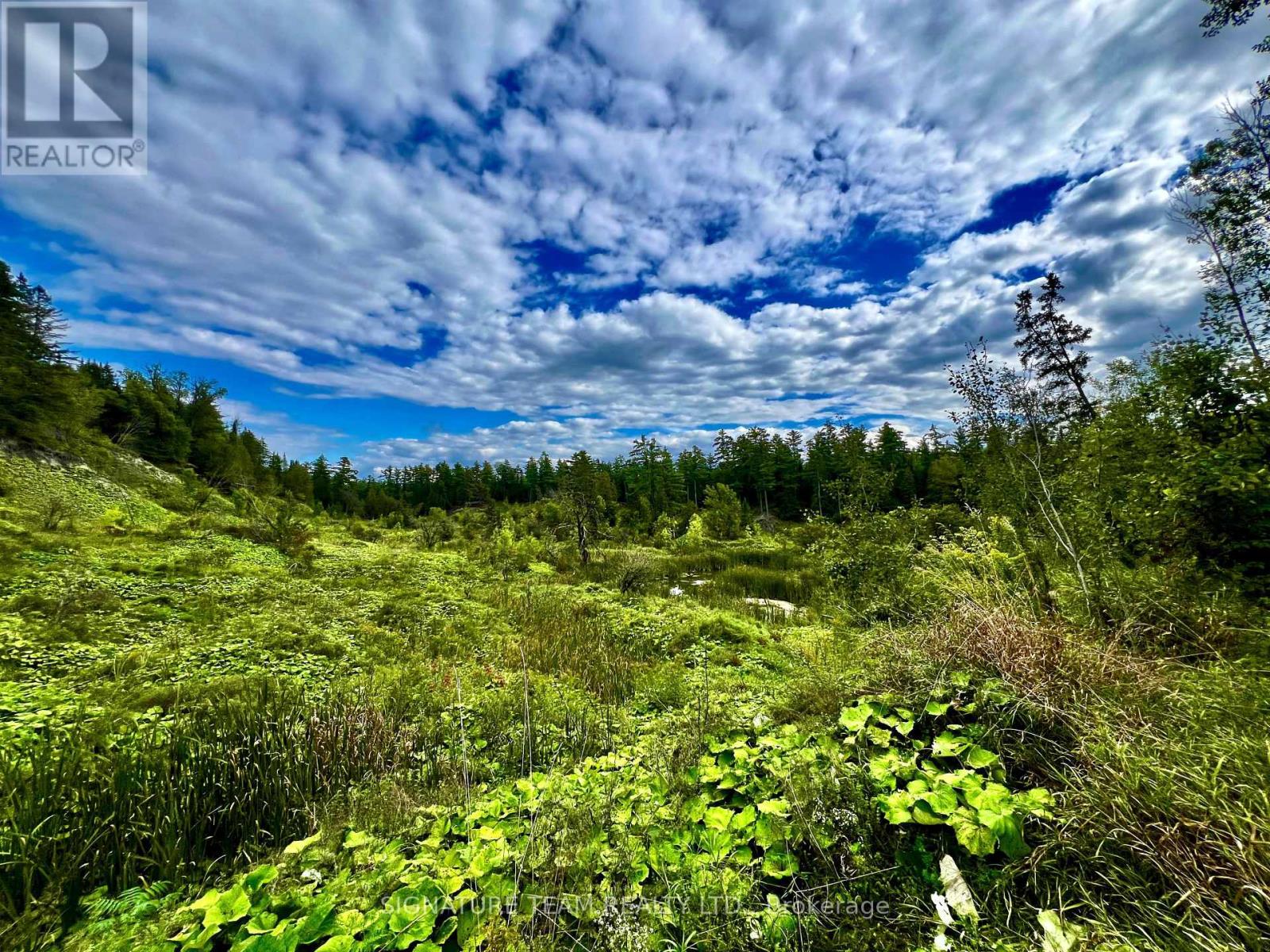 413 Ferguson Road, Horton, Ontario  K7V 3Z8 - Photo 23 - X13759340