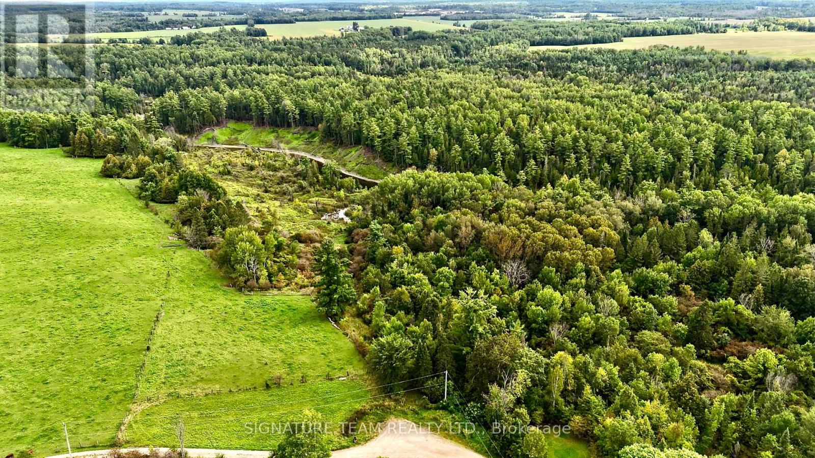413 Ferguson Road, Horton, Ontario  K7V 3Z8 - Photo 4 - X13759340