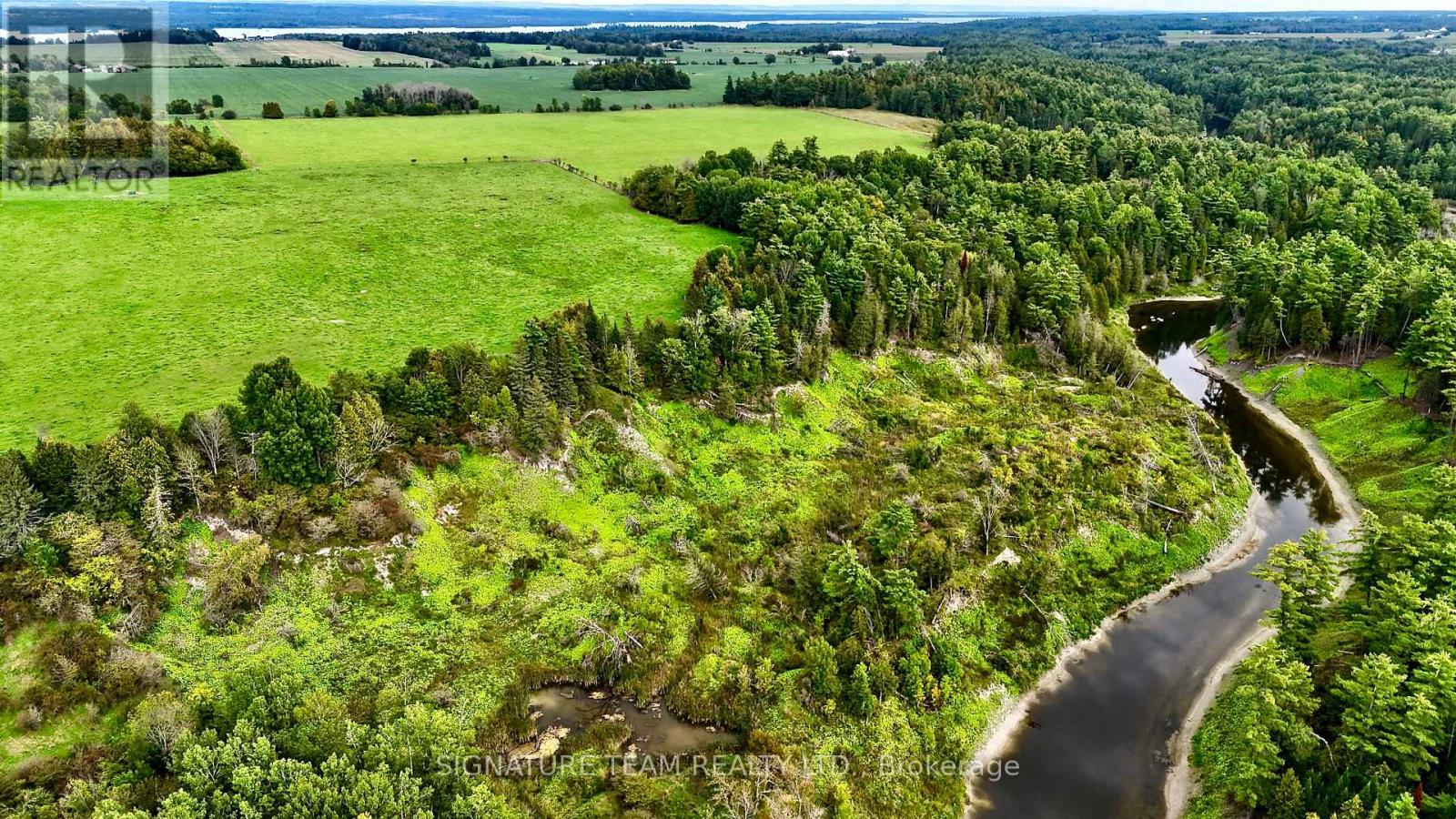 413 Ferguson Road, Horton, Ontario  K7V 3Z8 - Photo 5 - X13759340