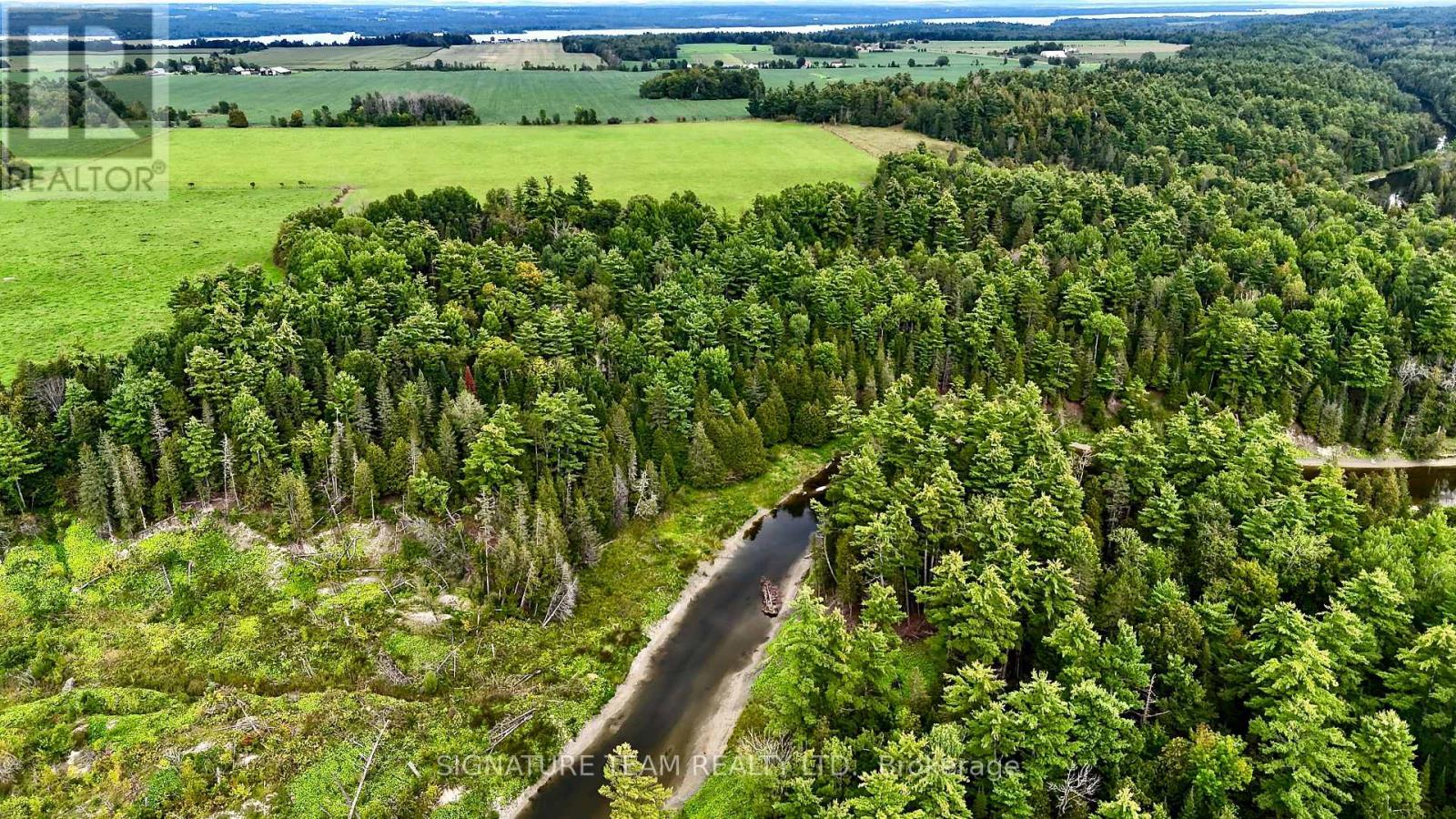 413 Ferguson Road, Horton, Ontario  K7V 3Z8 - Photo 6 - X13759340
