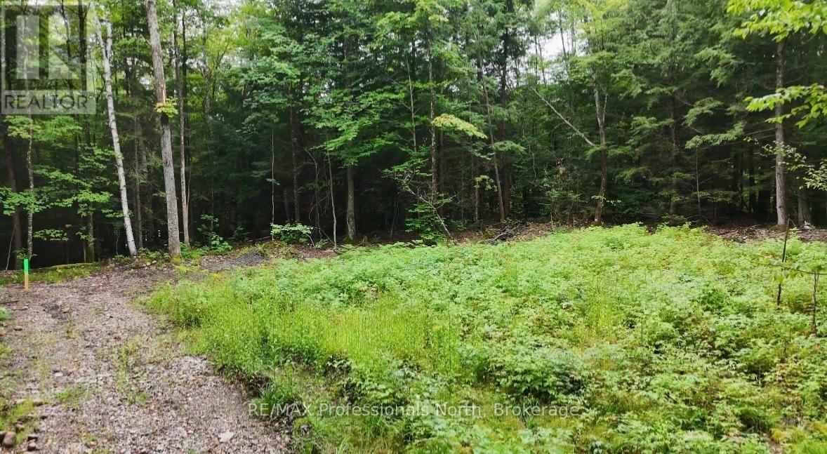 1211 Hawk Valley Road, Algonquin Highlands, Ontario  K0M 1J2 - Photo 10 - X13759406