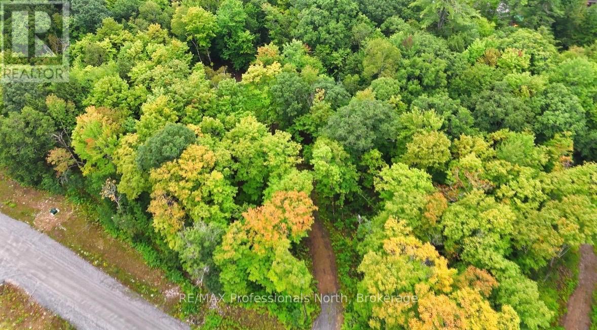 1211 Hawk Valley Road, Algonquin Highlands, Ontario  K0M 1J2 - Photo 11 - X13759406