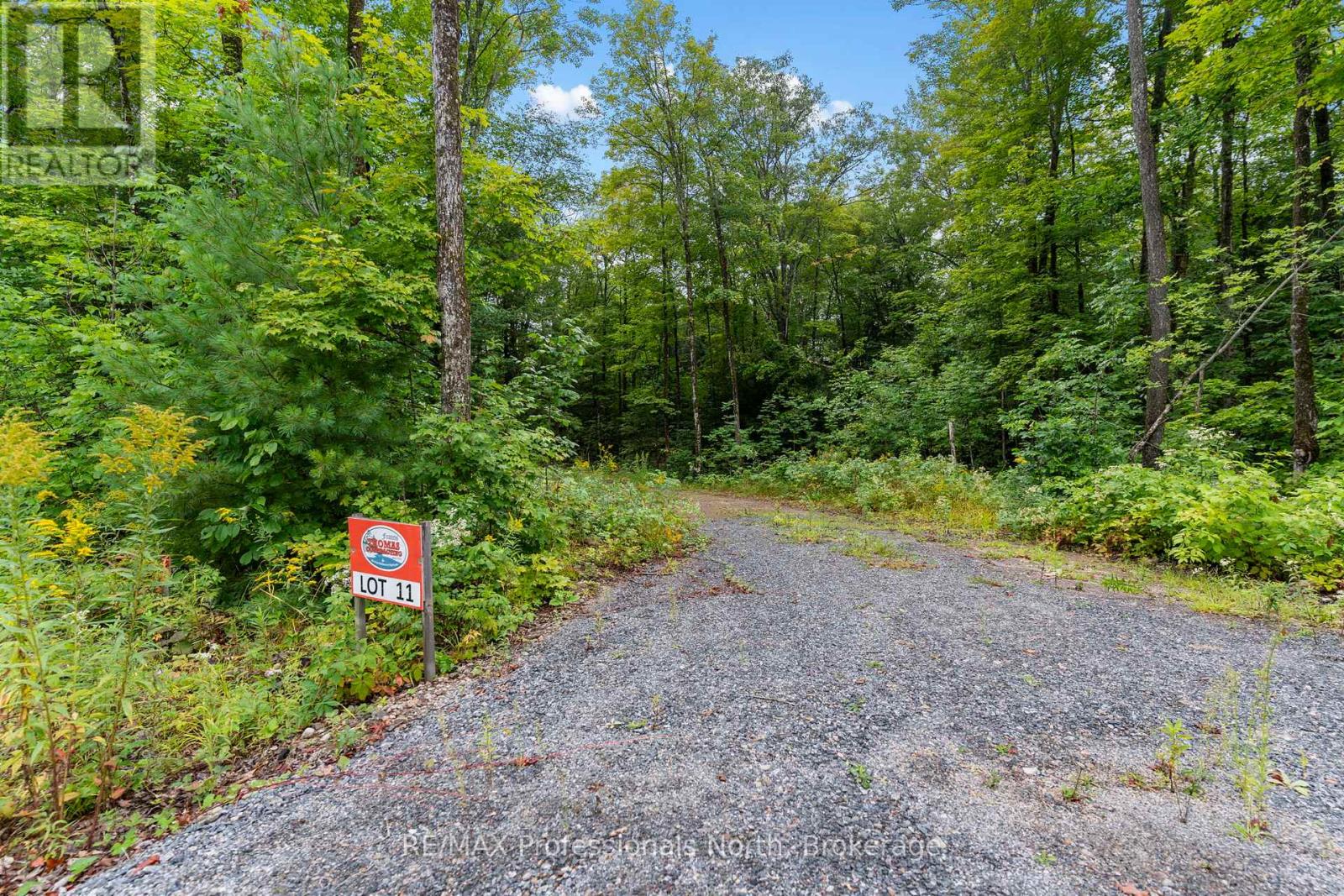 1211 Hawk Valley Road, Algonquin Highlands, Ontario  K0M 1J2 - Photo 7 - X13759406