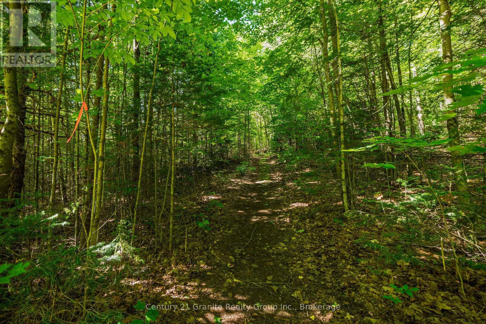 0 Irondale Road, Highlands East, Ontario  K0M 1R0 - Photo 10 - X13759414