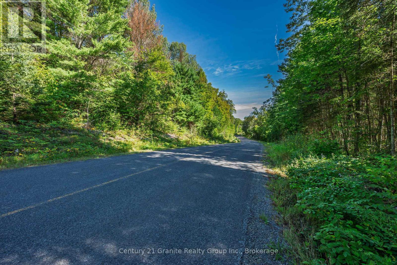 0 Irondale Road, Highlands East, Ontario  K0M 1R0 - Photo 15 - X13759414