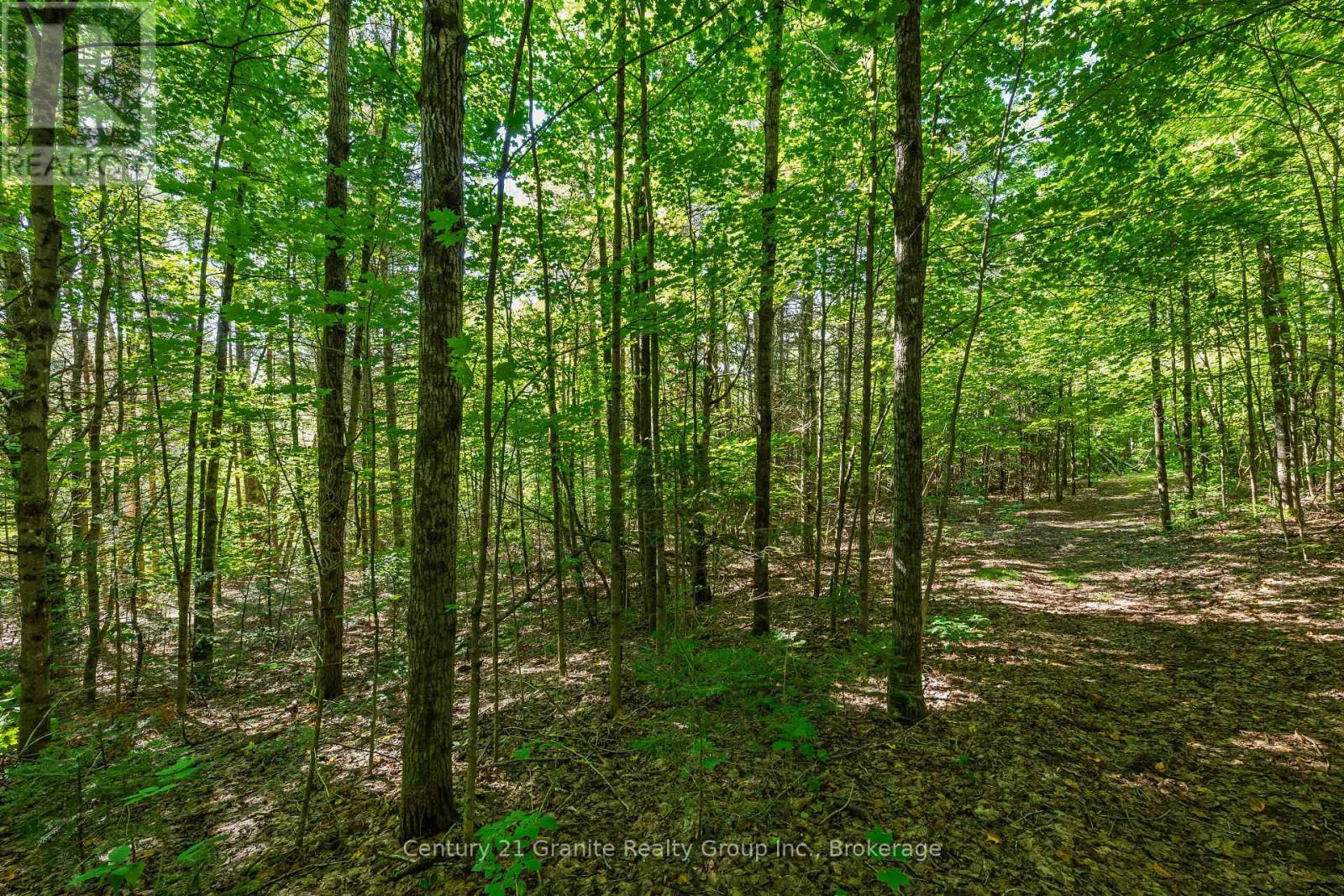 0 Irondale Road, Highlands East, Ontario  K0M 1R0 - Photo 4 - X13759414