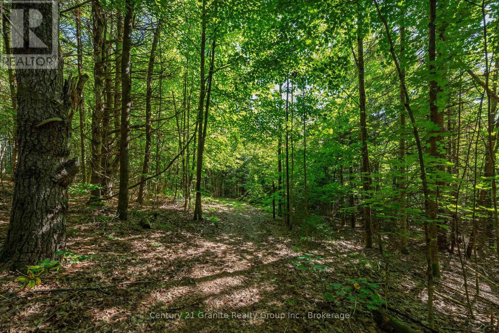 0 Irondale Road, Highlands East, Ontario  K0M 1R0 - Photo 5 - X13759414