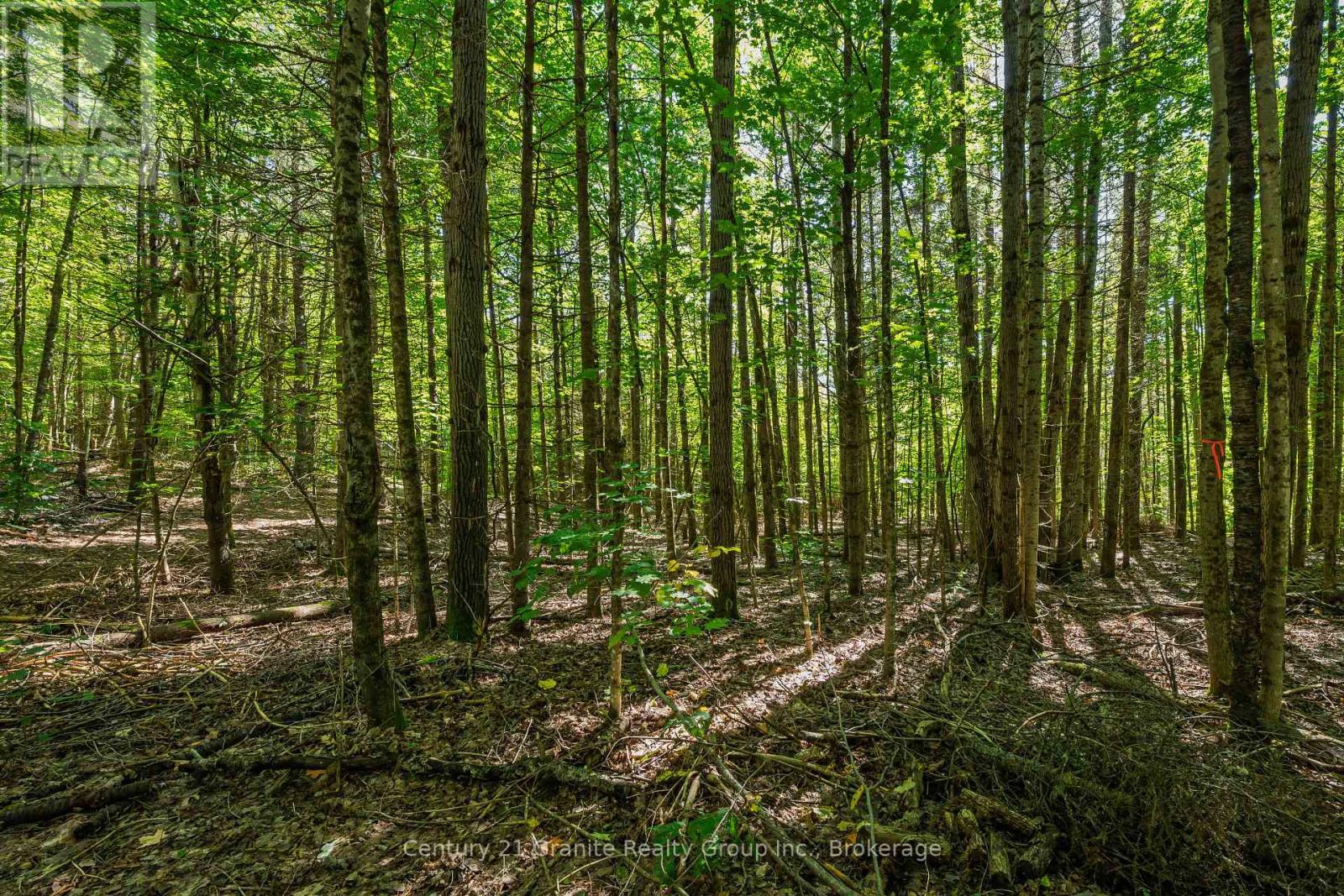 0 Irondale Road, Highlands East, Ontario  K0M 1R0 - Photo 6 - X13759414