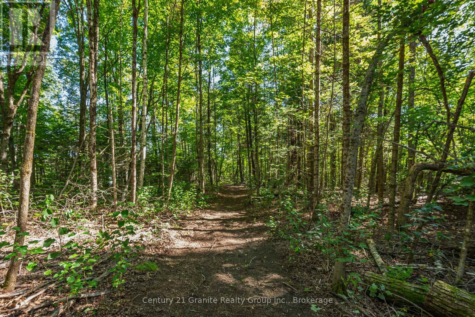 0 Irondale Road, Highlands East, Ontario  K0M 1R0 - Photo 8 - X13759414