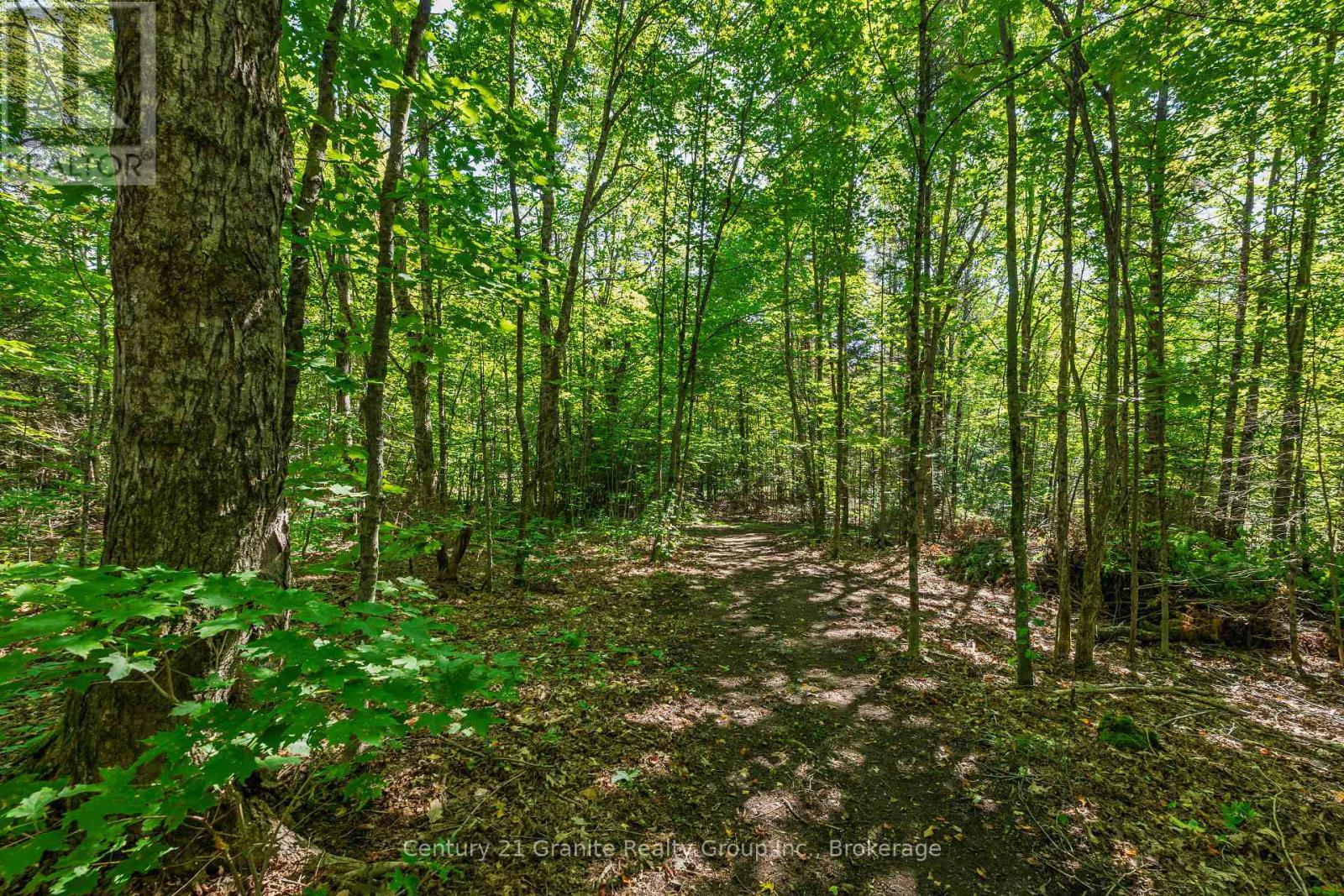 0 Irondale Road, Highlands East, Ontario  K0M 1R0 - Photo 9 - X13759414