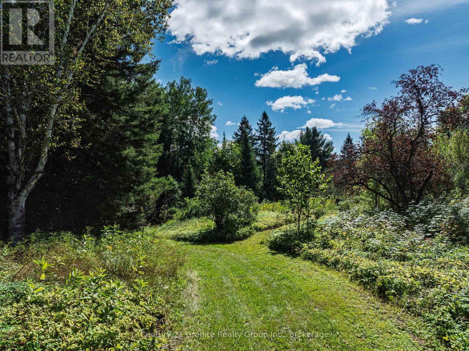 1961 Irondale Road, Highlands East, Ontario K0M 1R0 - Photo 10 - X13759422