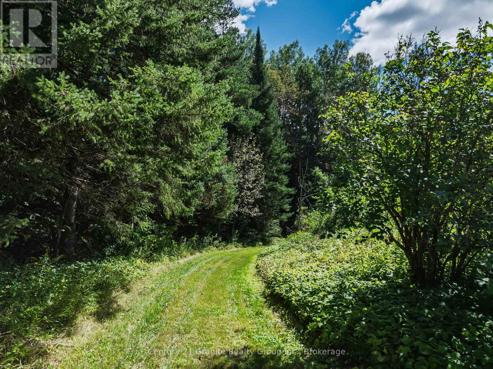 1961 Irondale Road, Highlands East, Ontario K0M 1R0 - Photo 12 - X13759422