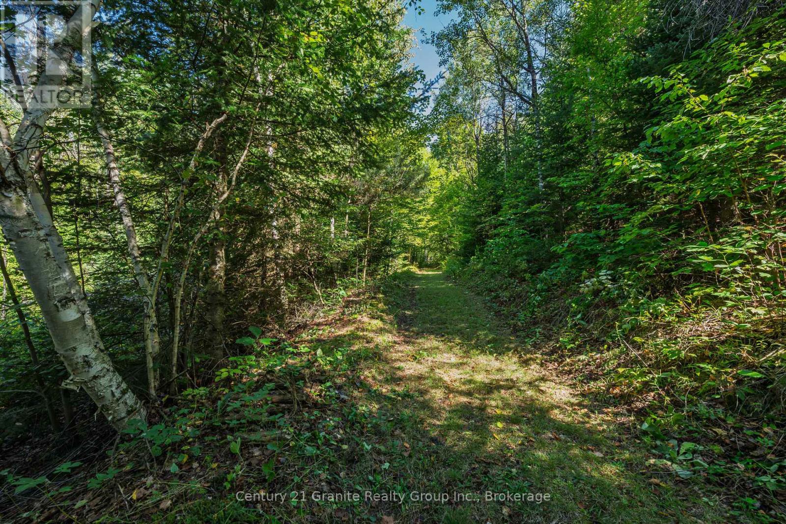 1961 Irondale Road, Highlands East, Ontario K0M 1R0 - Photo 14 - X13759422