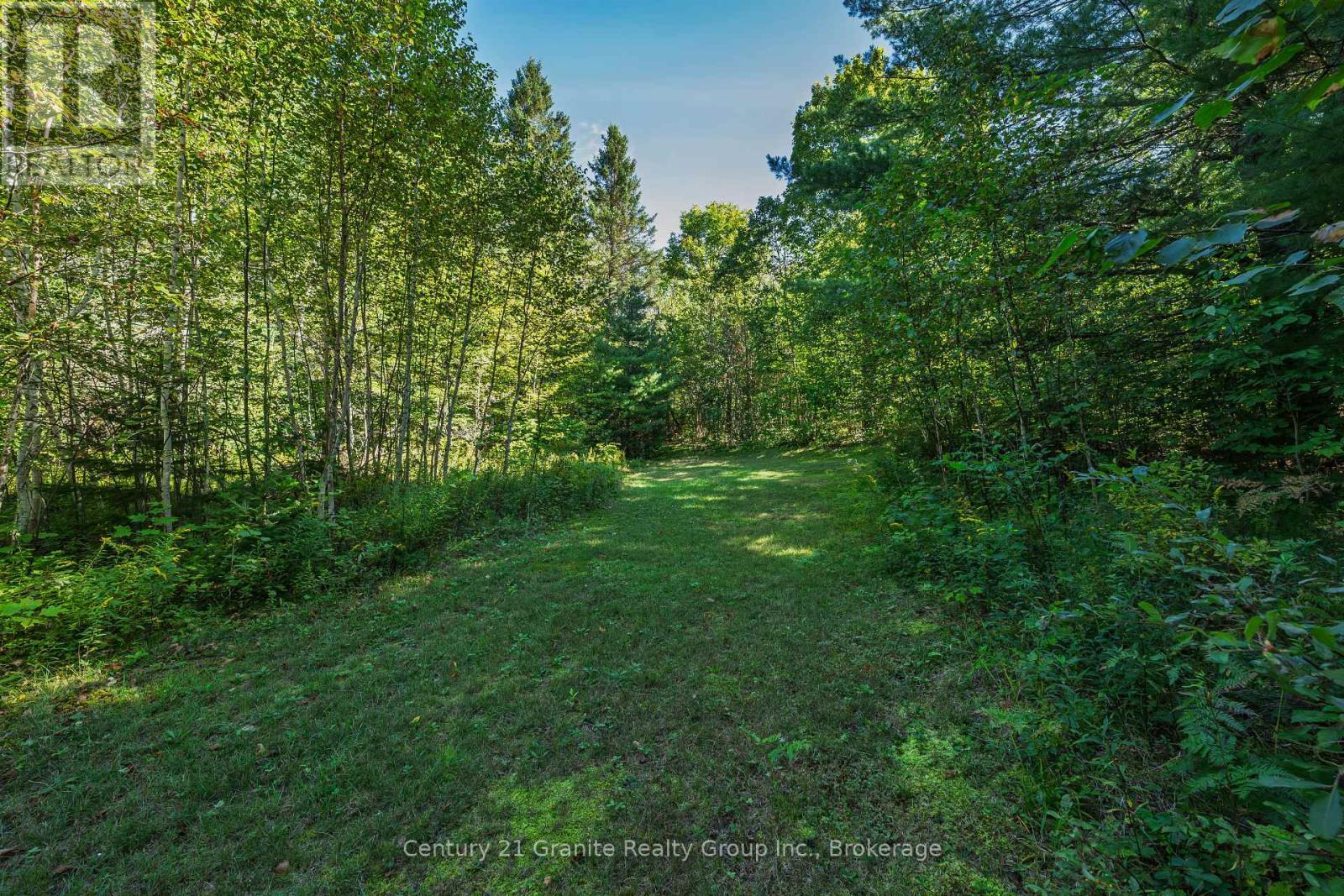 1961 Irondale Road, Highlands East, Ontario K0M 1R0 - Photo 15 - X13759422