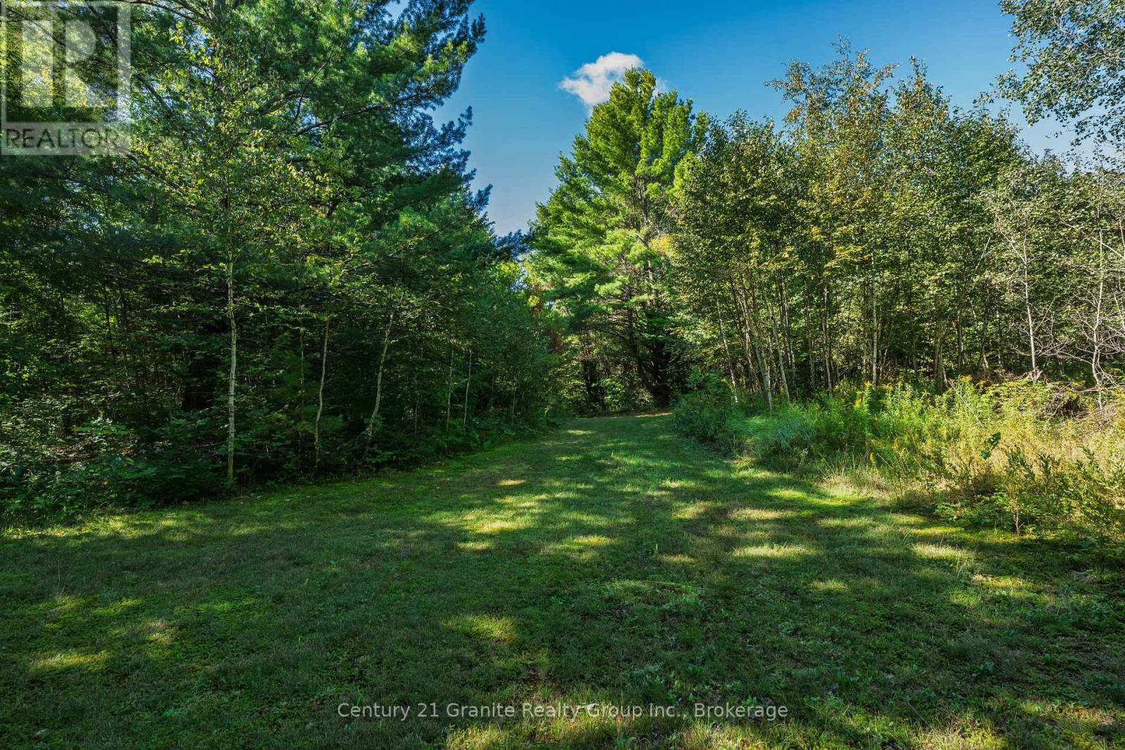 1961 Irondale Road, Highlands East, Ontario K0M 1R0 - Photo 16 - X13759422