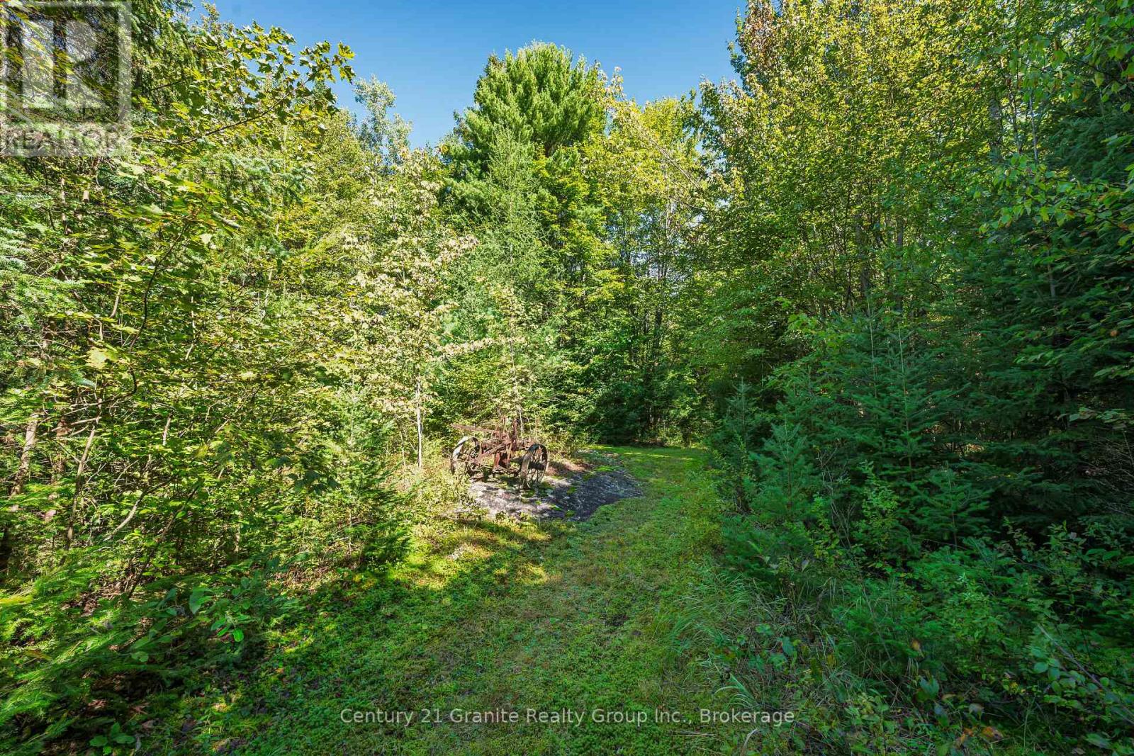 1961 Irondale Road, Highlands East, Ontario K0M 1R0 - Photo 17 - X13759422