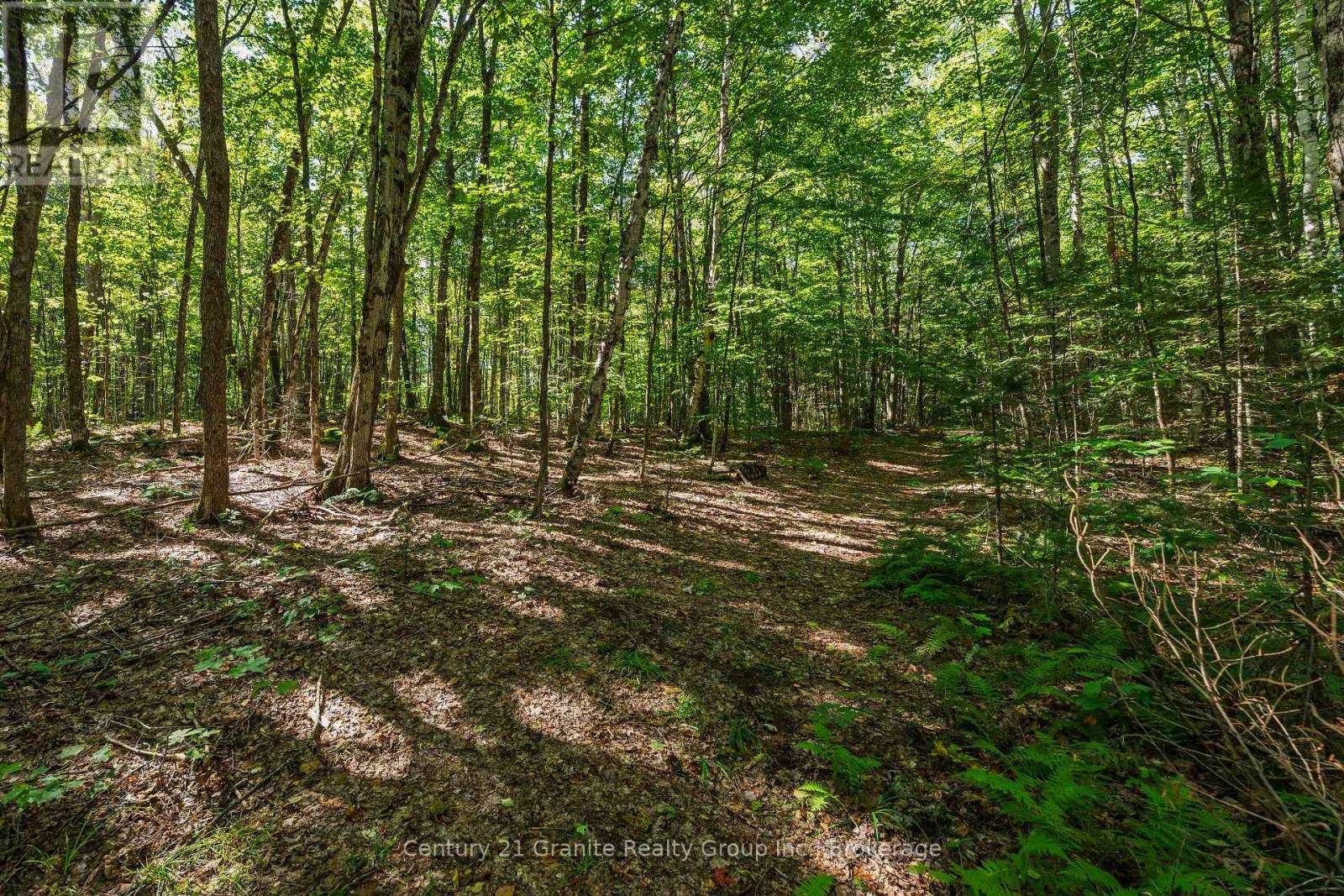 1961 Irondale Road, Highlands East, Ontario K0M 1R0 - Photo 18 - X13759422