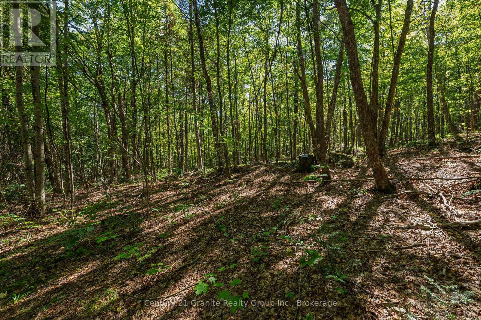 1961 Irondale Road, Highlands East, Ontario K0M 1R0 - Photo 19 - X13759422