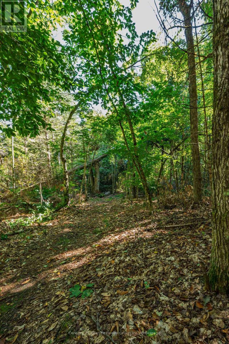 1961 Irondale Road, Highlands East, Ontario K0M 1R0 - Photo 20 - X13759422