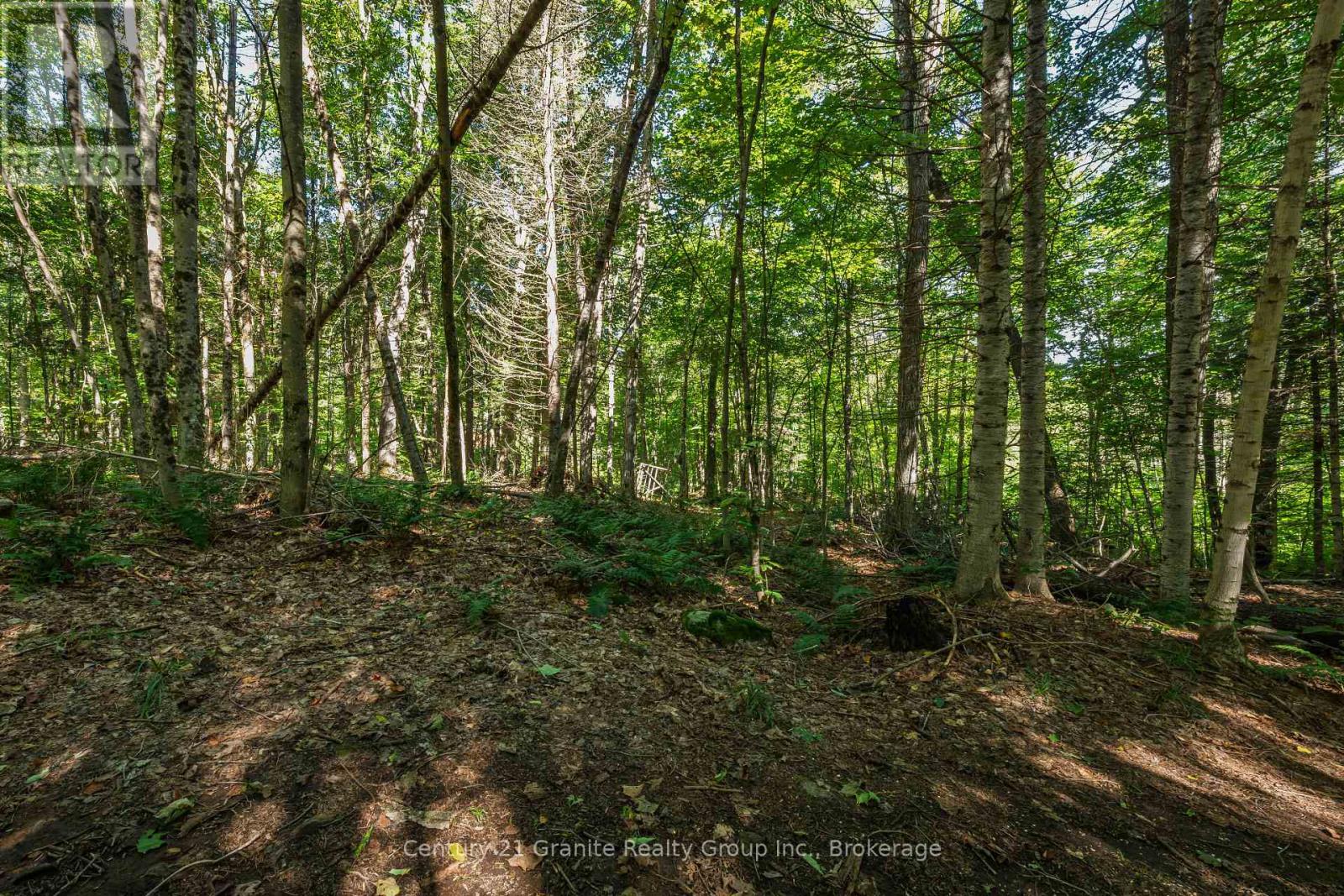 1961 Irondale Road, Highlands East, Ontario K0M 1R0 - Photo 21 - X13759422