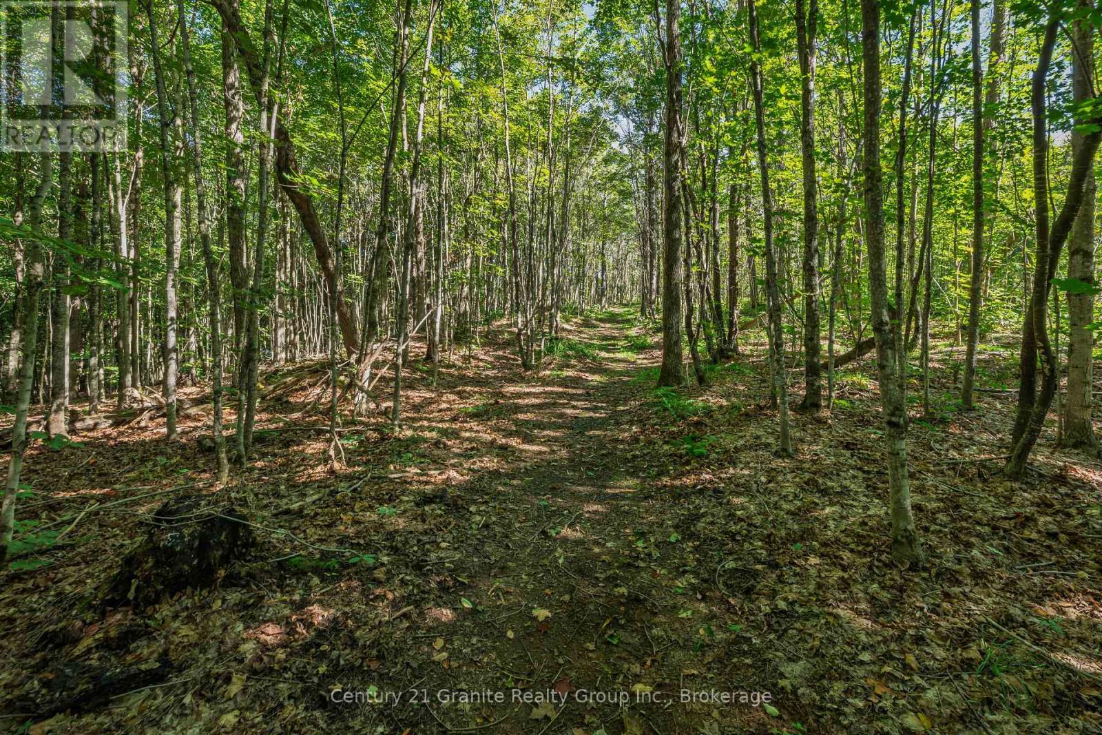 1961 Irondale Road, Highlands East, Ontario K0M 1R0 - Photo 22 - X13759422