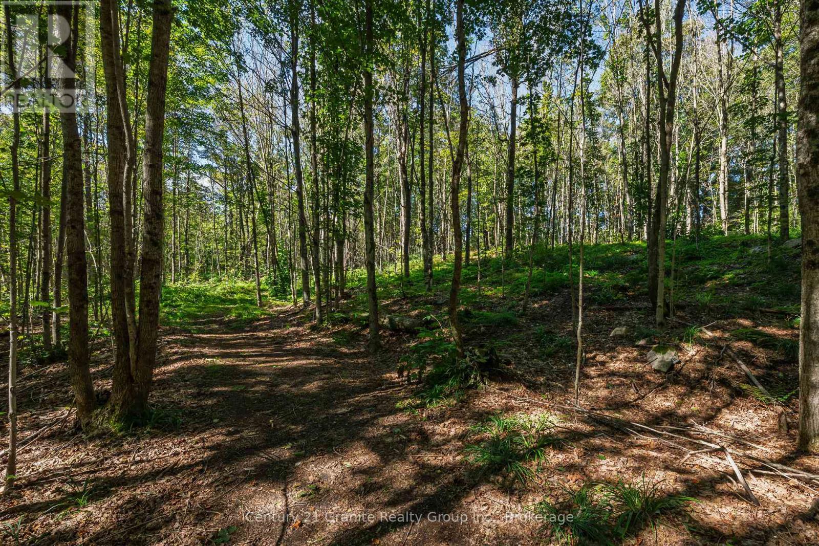 1961 Irondale Road, Highlands East, Ontario K0M 1R0 - Photo 24 - X13759422