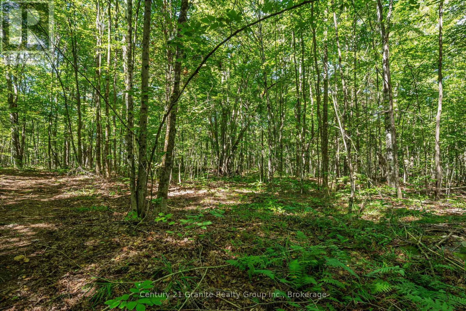 1961 Irondale Road, Highlands East, Ontario K0M 1R0 - Photo 28 - X13759422